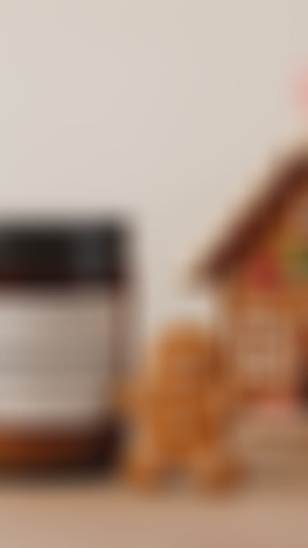 gingerbread soy wax candle....